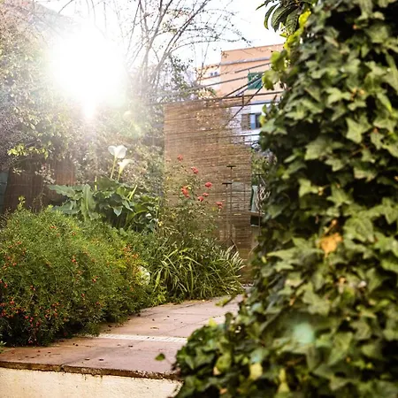 Apartmán The Lemon Tree