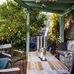 The Lemon Tree *