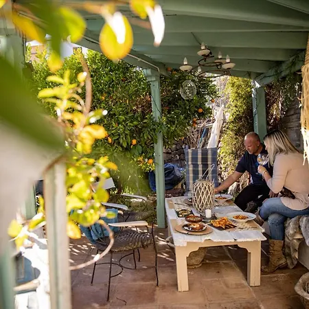 The Lemon Tree Apartment *